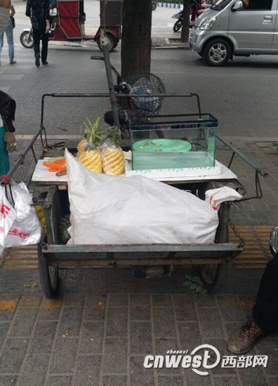 受伤女摊贩的菠萝摊