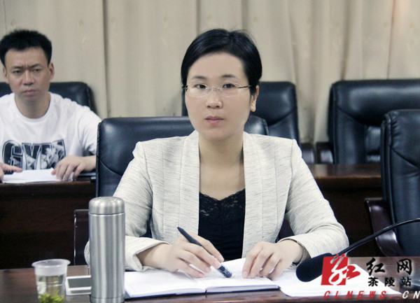 茶陵县委副书记,县长江小忠讲话
