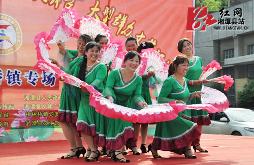 湘潭县梅林人民爱文艺 演奏达人为欢乐潇湘添