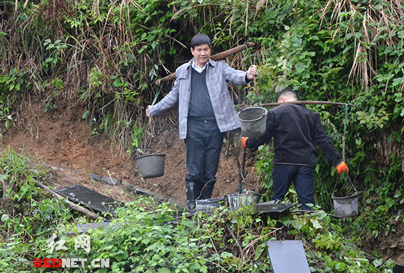 挑水泥修沟渠，杨一中说自己还是“一个好劳力”。