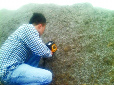 特邀技术顾问正在检测堆砌在马路边的钨矿废渣。记者 李国平 摄