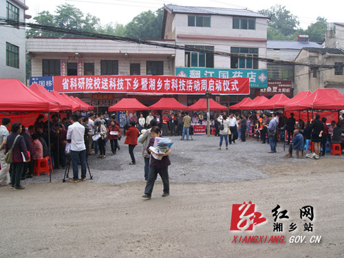 DSC08710.JPG
