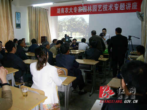 DSC08811.JPG