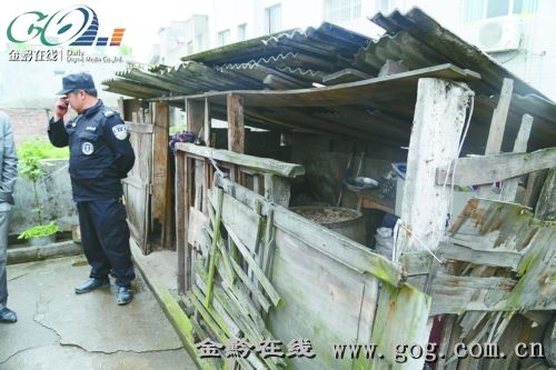 贵州一猪圈内藏