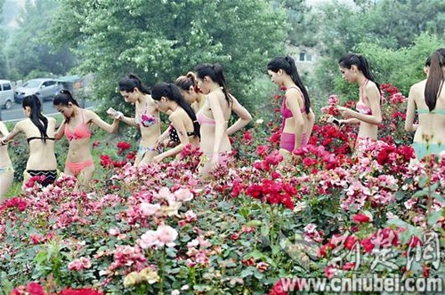 楚天金报讯 春夏之交的黄陂云雾山，满山青翠姹紫嫣红。昨日，第四届巴黎中国国际时装周模特大赛湖北赛区启动仪式举行。摄影师们将镜头对准了云雾山上的美景和美女。