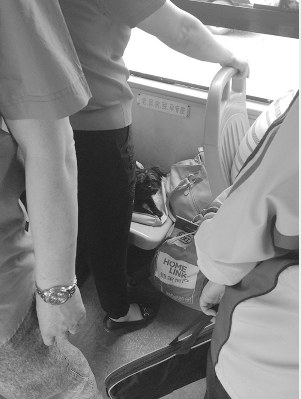 小狗被放在座位上。