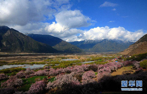 旅型家完美攻略!中国西部四地行(图)