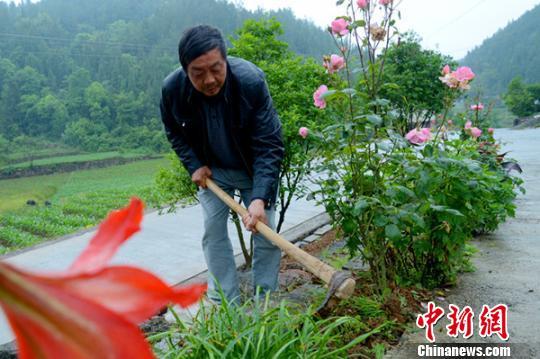 湖北恩施一教师为孩子有书读 坚守村小37年