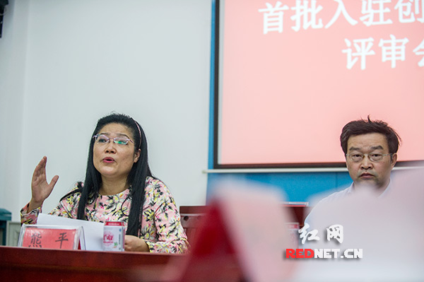 评审专家就入驻项目发表评审意见。