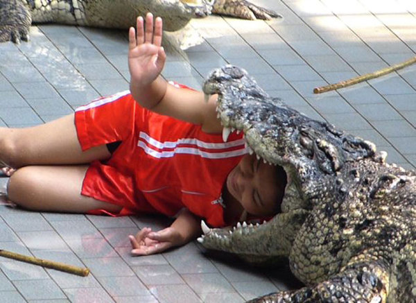 泰国女驯兽师将头塞进鳄鱼口中，每天只为赚4英镑。（网页截图）