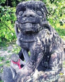 外形雄壮的母石狮矗立在庙门口。