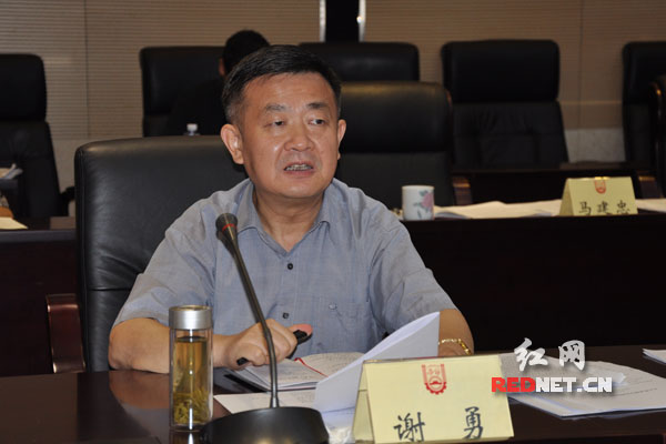 湖南省人大常委会副主任谢勇讲话。