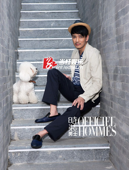 爱犬入镜头、