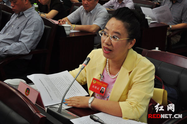 围绕加快推进湘江保护与治理和大力发展临港临空产业的提案，与会人员积极建言献策。