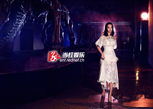 白百何优雅盛放