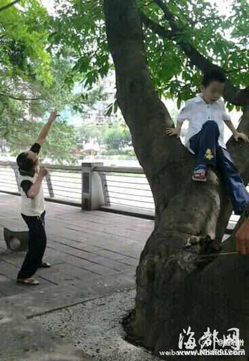 　　男子打下鸟后，让儿子去捡