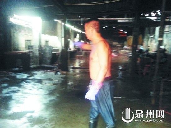 屠宰点生猪为求生逃上屋顶走红 已被宰杀(图)