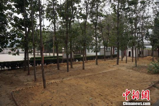 因个别学生坐姿不正，全体同学被罚顶着板凳上课。副校长称“你们坐不好，就让板凳坐你们。”　知情者供图　摄
