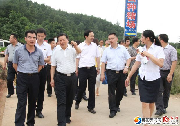 在紫薇集团莲荷花卉苗圃基地