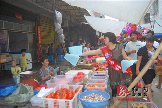 辰溪县妇联国际禁毒日宣传入集市(图)