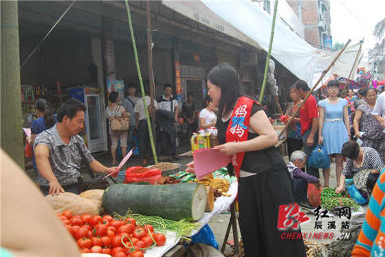 辰溪县妇联国际禁毒日宣传入集市(图)
