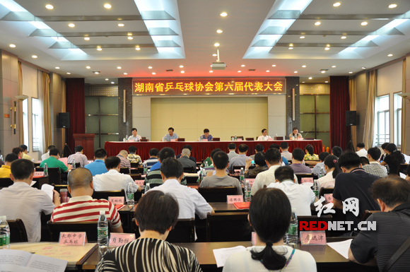 6月28日，湖南省乒乓球协会召开第六届代表大会，选举产生了第六届湖南省乒乓球协会组成人员。