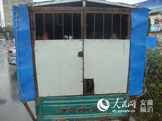 三轮车载23名小学生上学 车内没有一点活动空间【3】