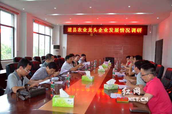 （图为调研现场）