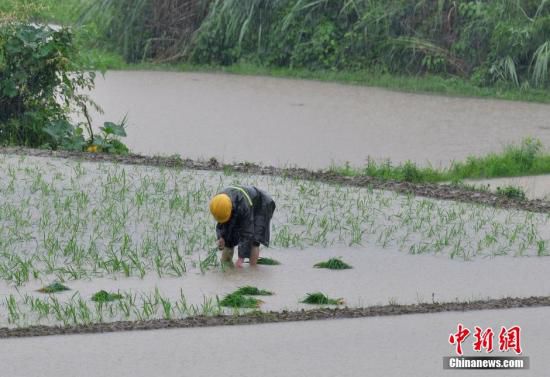 中国16省份遭暴雨洪涝灾害 造成23人死亡6人失踪