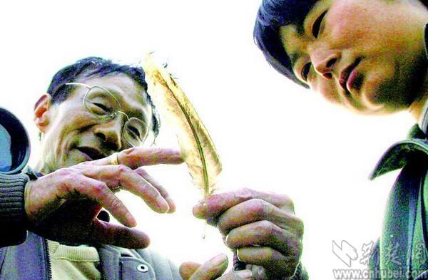 武大老教授捐角膜 生前曾13次带学生穿越神农架