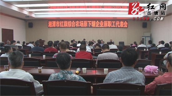 红旗农场召开最后一次原职工代表大会 改制工作完成