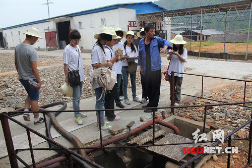 学生们在调研中