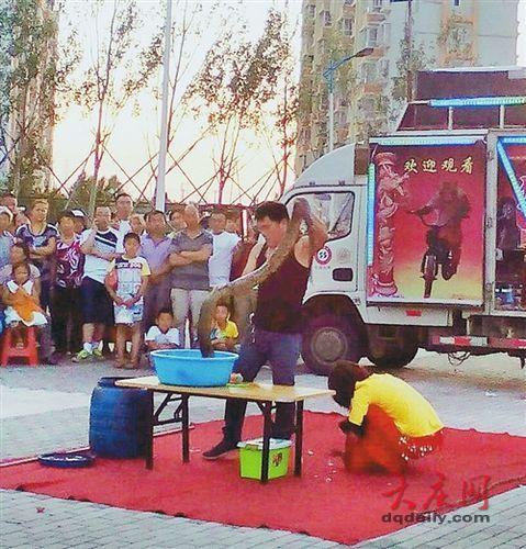 杂技学校奇葩招生:活鸡“剥皮抽筋” 卖药酒