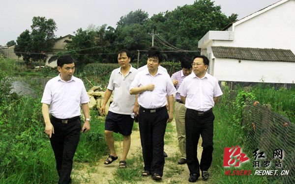 图为市委副书记、市长周金龙(右二)在副市长周育林(右一)等的陪同下,在屈子祠镇栏湖村调研血吸虫病传播控制达标工作_副本.jpg