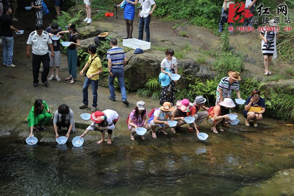 40名游客在张家界金鞭溪认养放流娃娃鱼