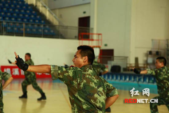 武警在进行格斗术表演