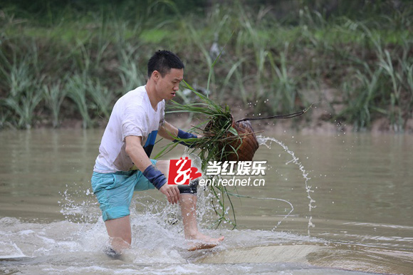 杨威
