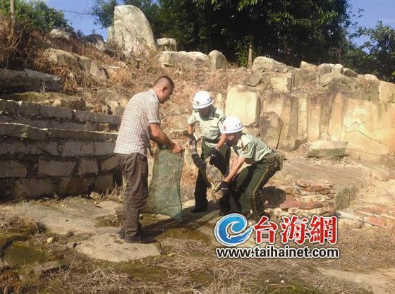 鳄鱼“私闯”民居吓坏村民 警民联手智斗半小时