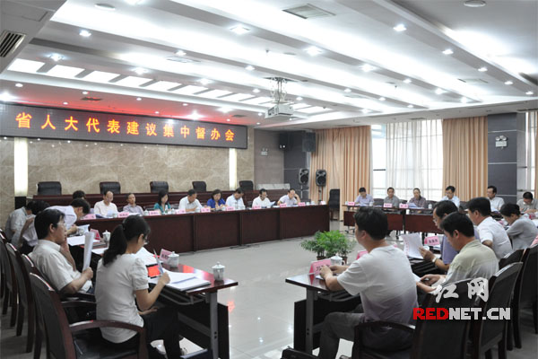 湖南省人大代表建议集中督办现场。