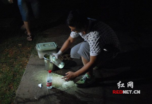 执法人员对企业总排口外排废水进行了现场采样。