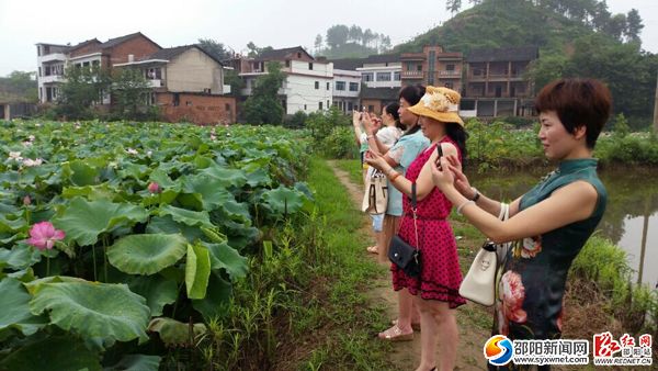 市民观赏拍照。