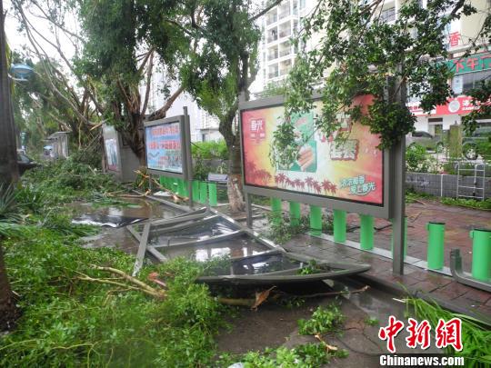 “威马逊”给海口市政设施带来严重破坏。 王子谦 摄