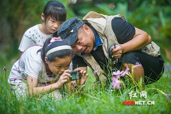 在陶家山社区环境优美的一片绿地上，为居民讲课的湖南省摄影家协会会员李发学在指导社区的几位学生拍摄照片。