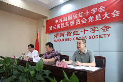 党组成员、副会长、机关党委书记王广宇作工作报告