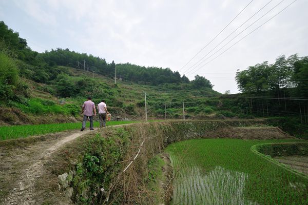 岣嵝乡人口_衡阳岣嵝风景