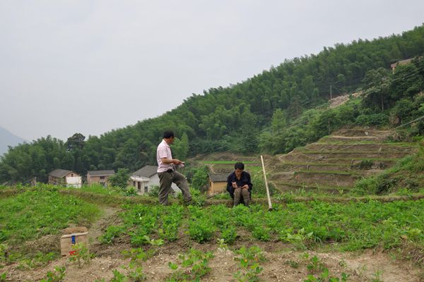 岣嵝乡人口_衡阳岣嵝风景