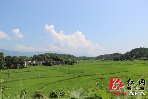 城步政协"苗乡边境发现千里行"走进西岩镇石头村