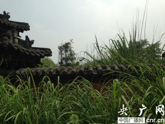 成都最大生态公园十年未建成 曾进行万人动迁