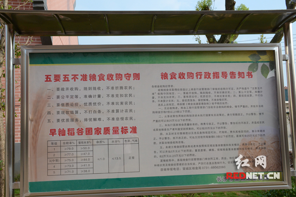 长沙各粮食收购点做到“标准上榜、政策上墙”。
