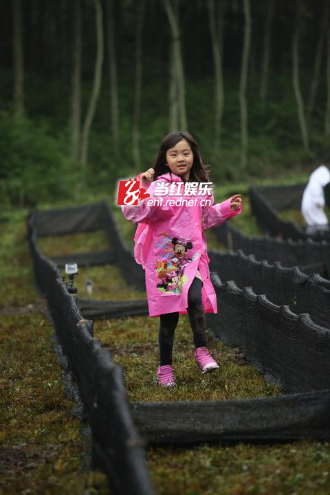 多多和乖乖比赛